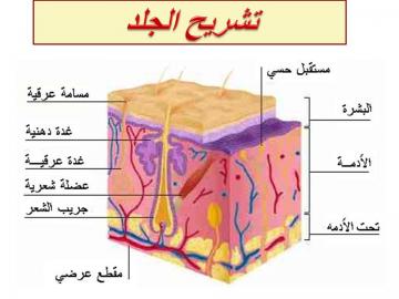 الإسعافات الأولية للحروق